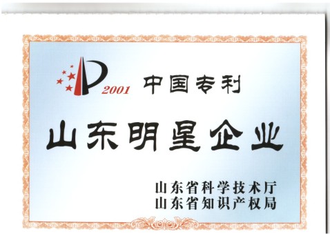 山東明星企業(yè)